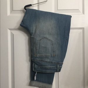 Lane Bryant Boyfriend Jeans